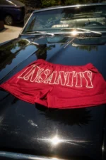 Cherry Red Mesh 3.5 Seam Shorts 1.webp